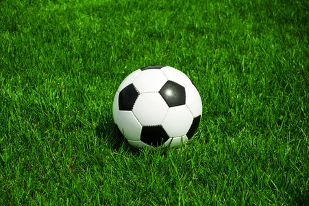 球探比分手机版旧版功能展示